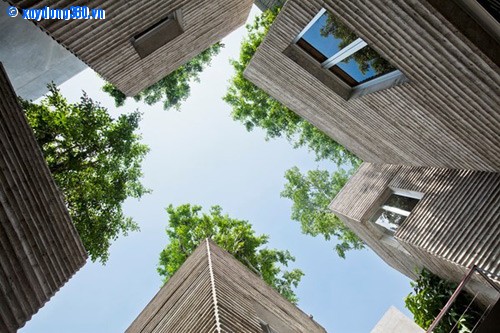 “House for trees” dựa trên ý tưởng những chậu cây xanh, các cây cổ thụ được trồng  ...