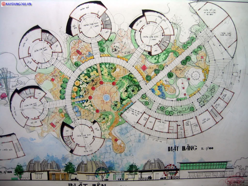210.jpg