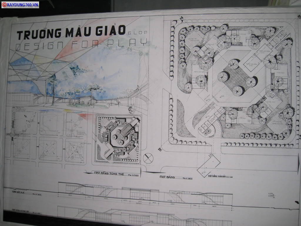maugiao6.jpg