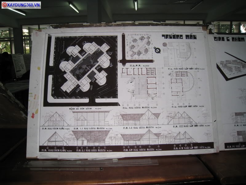 maugiao15.jpg