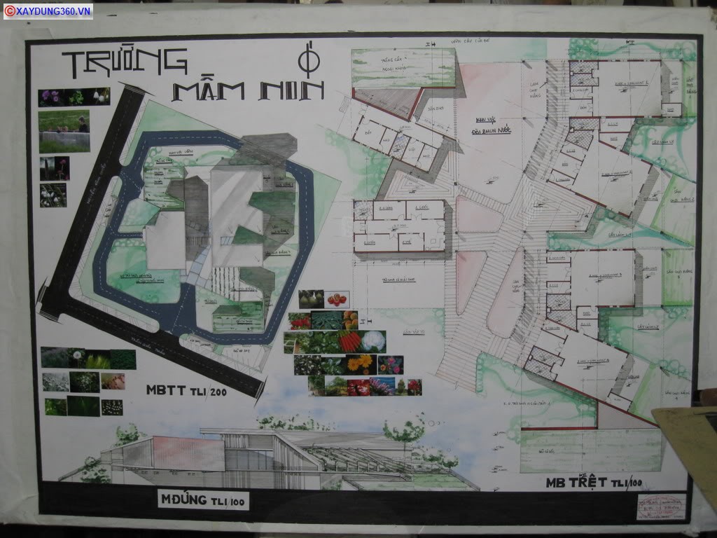 maugiao31.jpg