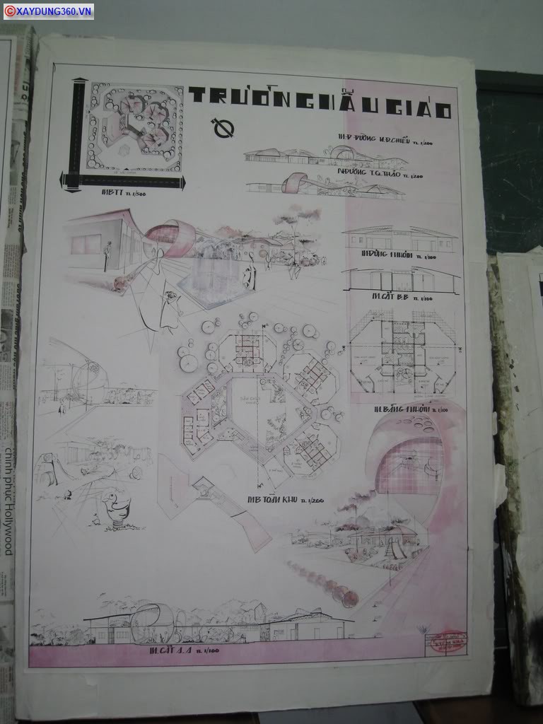 maugiao50.jpg