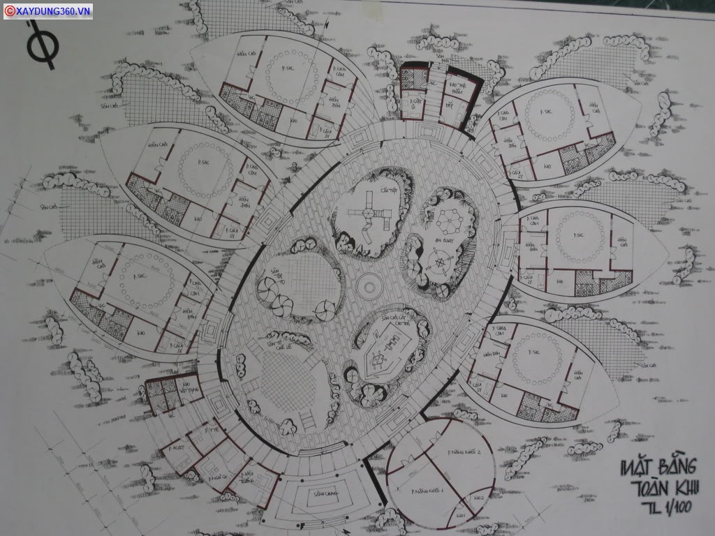 maugiao52.jpg