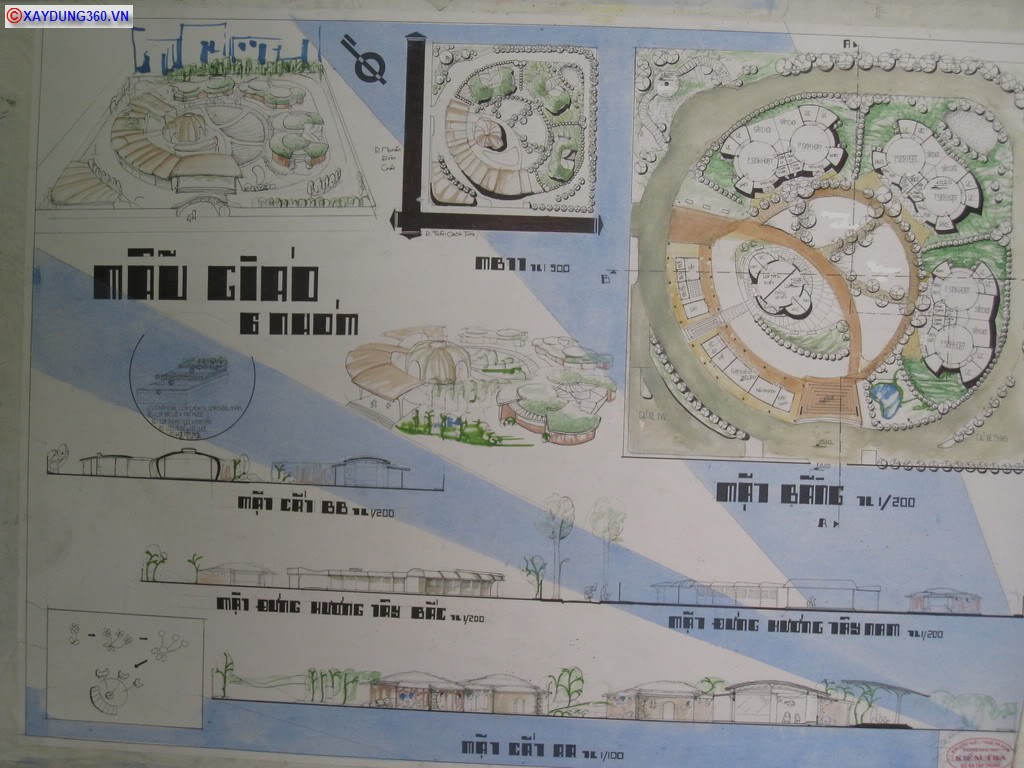 maugiao54.jpg