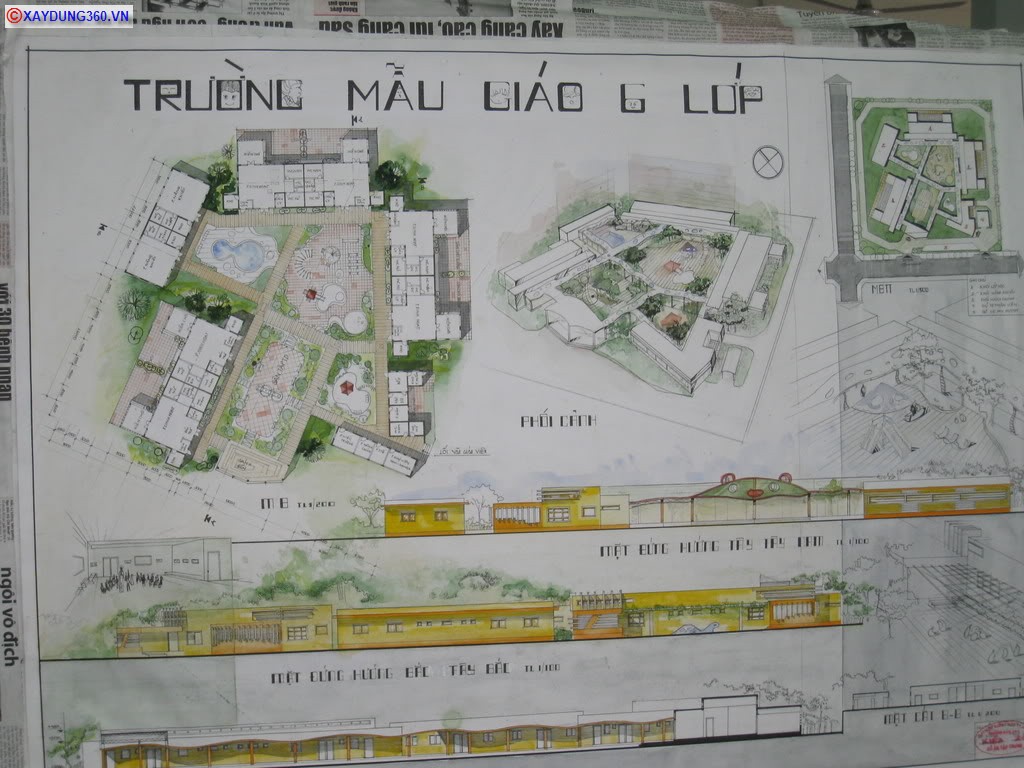 maugiao55.jpg