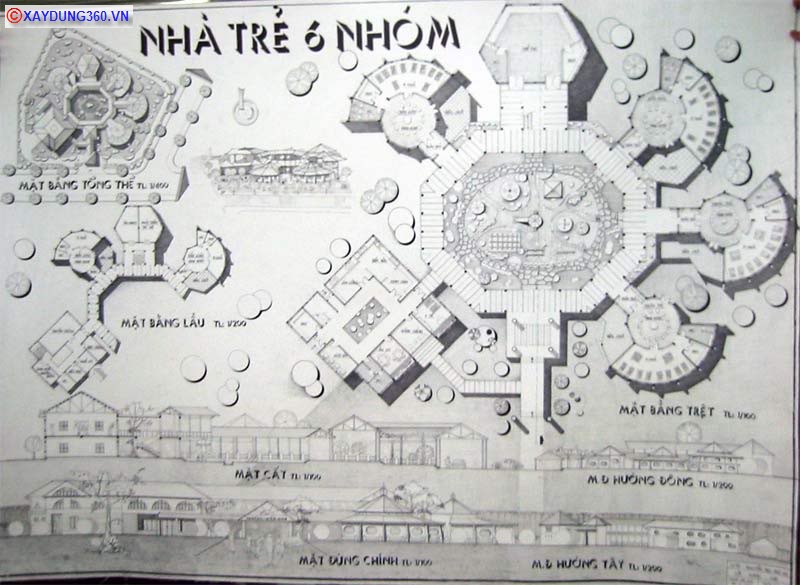 nt2-1.jpg