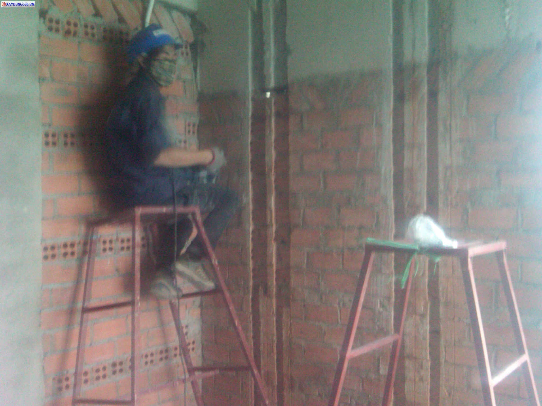 IMG00094-20111125-1518.jpg