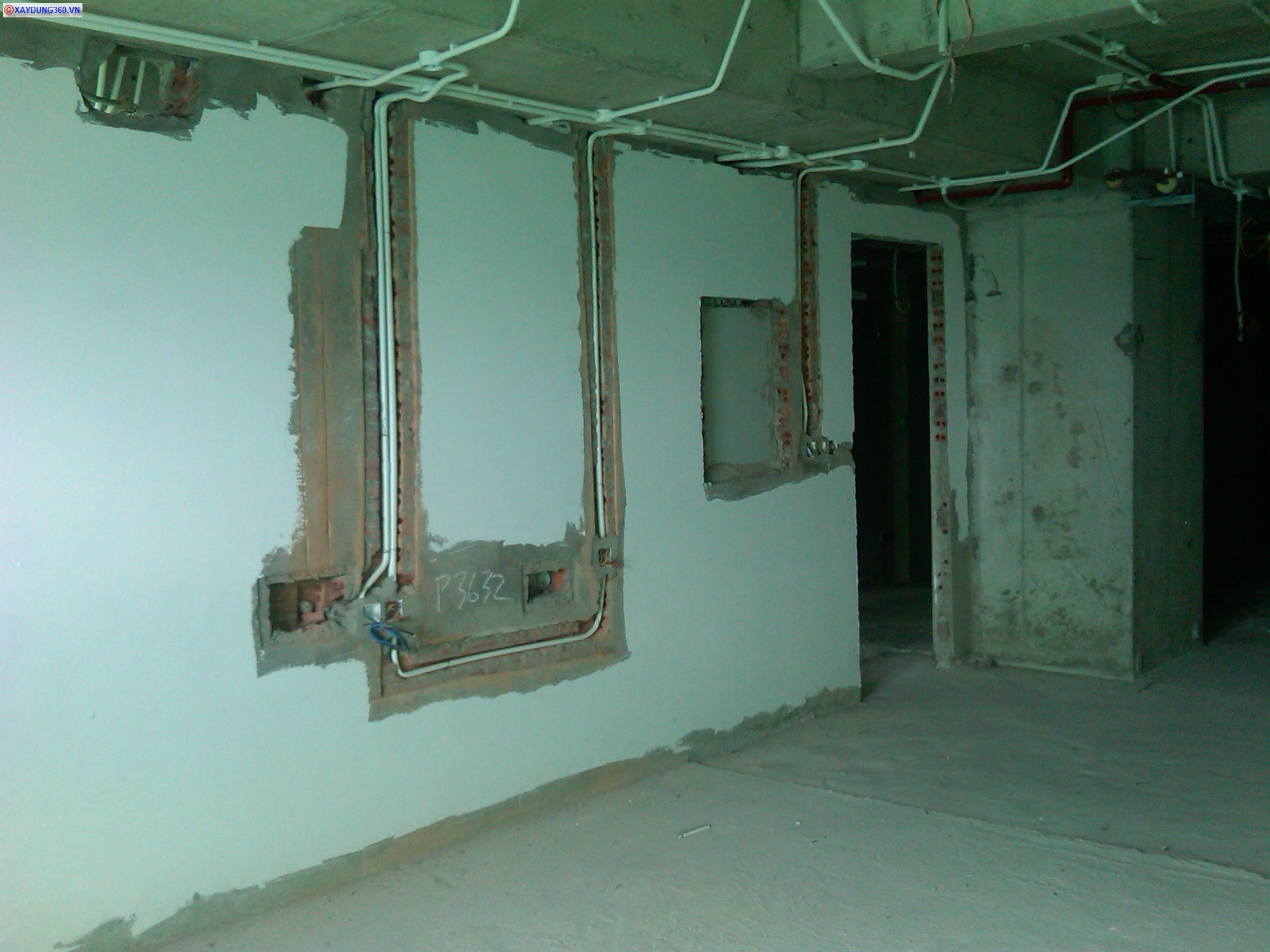 20120214-3632a.jpg