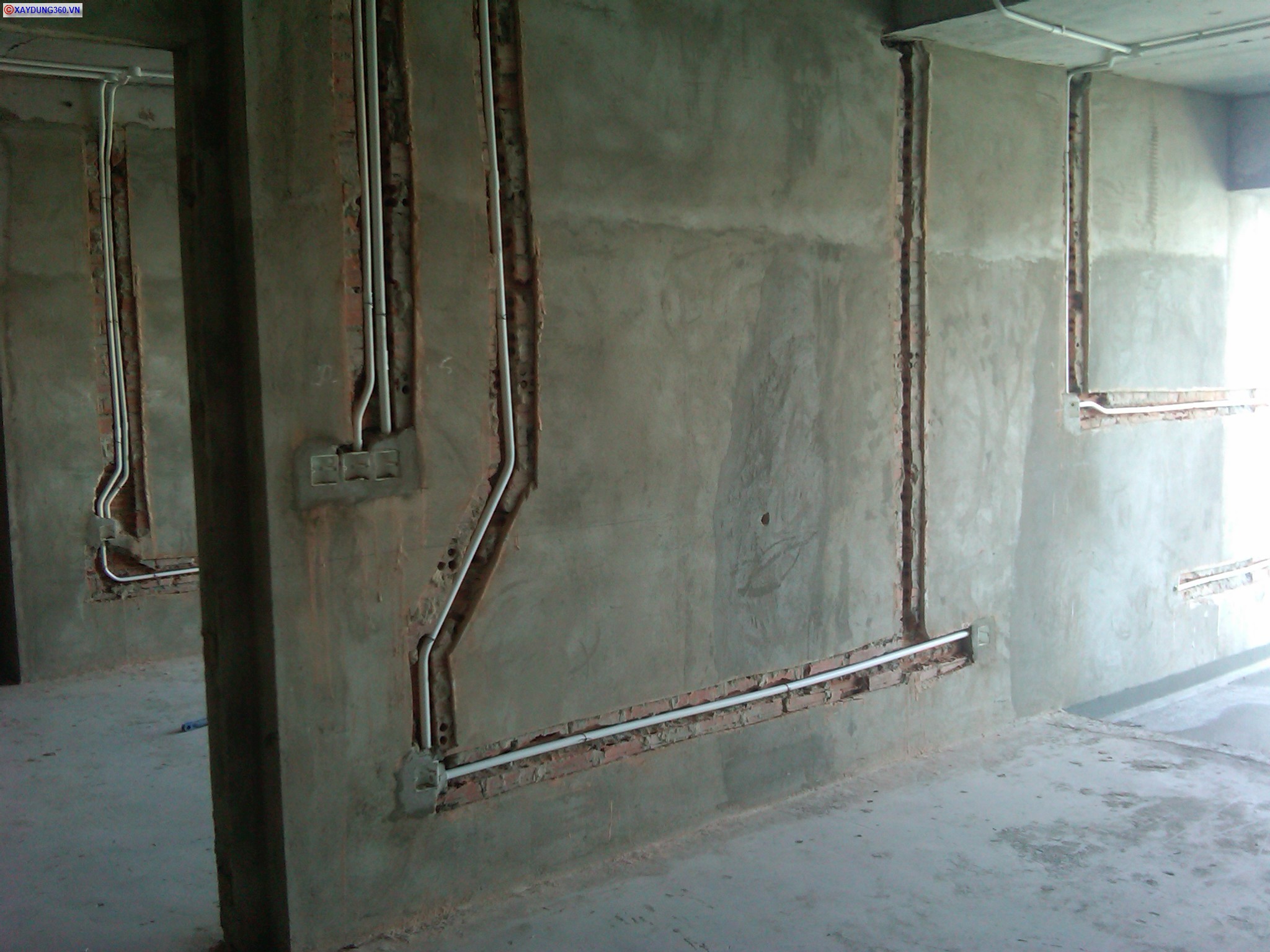 IMG00770-20120213-0859.jpg