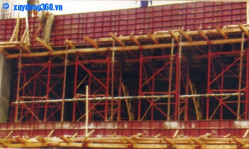 giaochong3.jpg