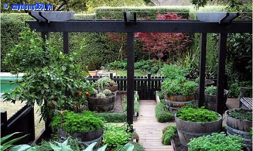 sân vườn xanh đẹp